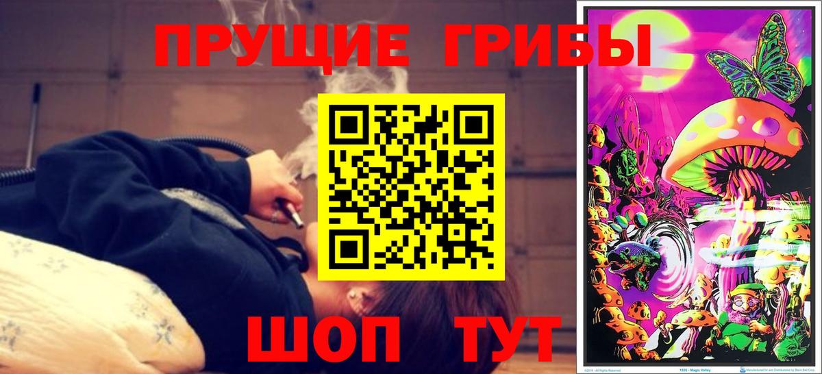 наркошоп  Псилоцибиновые грибы прущие грибы  Вход с VPN  Черняховск 